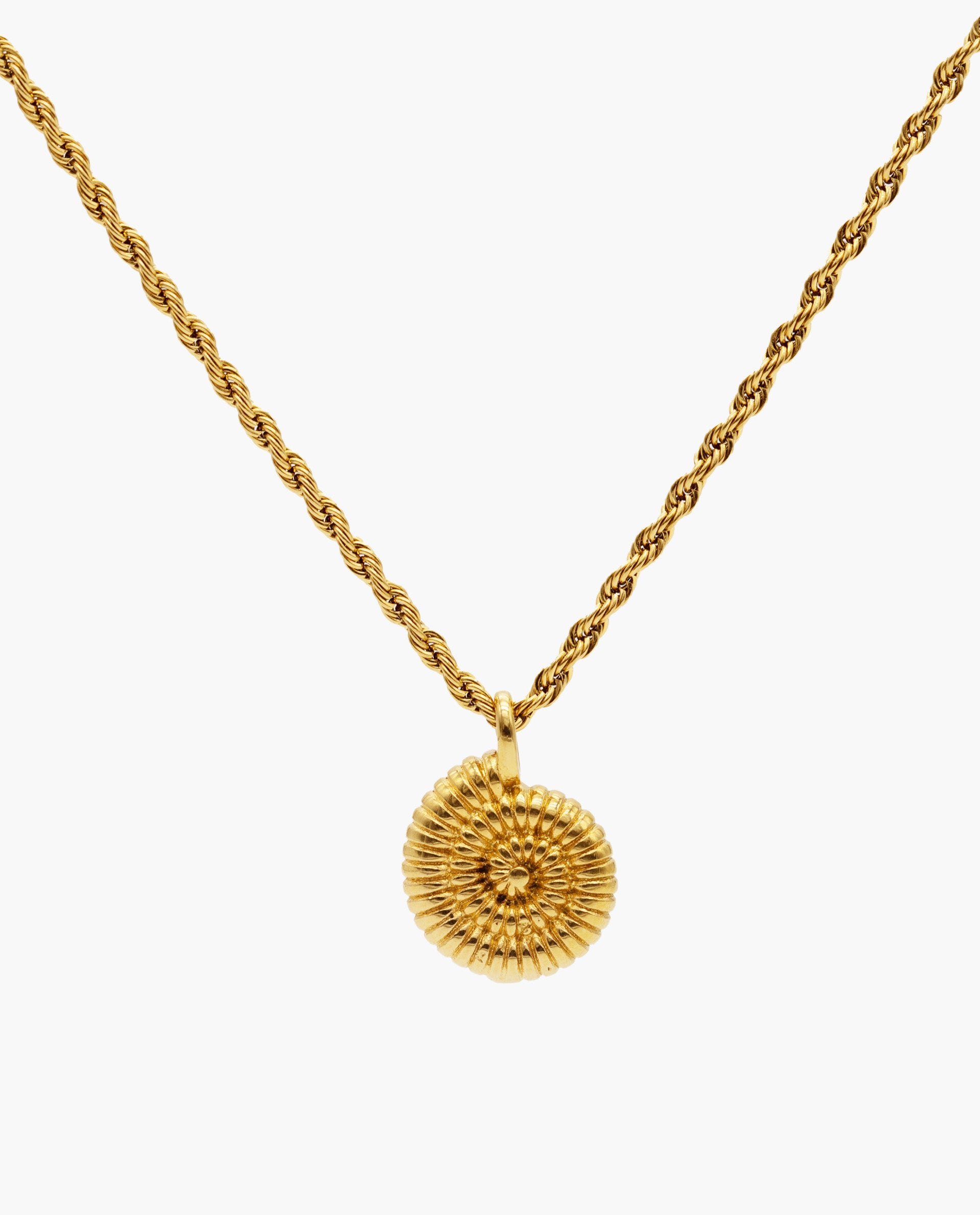 SUN SHELL NECKLACE - GOLD PLATED STEEL
