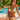 BIKINI BLOSSOM | Bikini Amarillo y Cian Flores | Bikinis y Bañadores THE-ARE